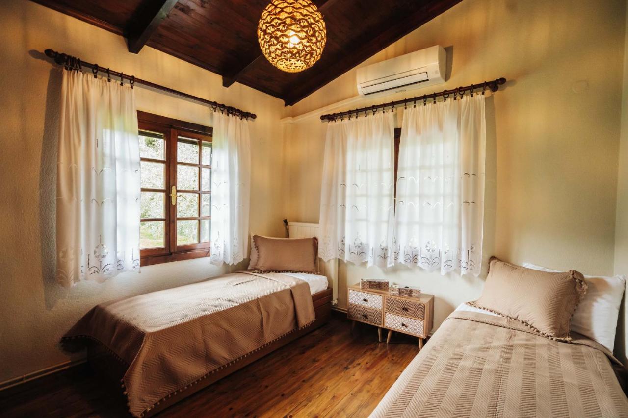 Villa The Tree House Agios Andreas  Esterno foto